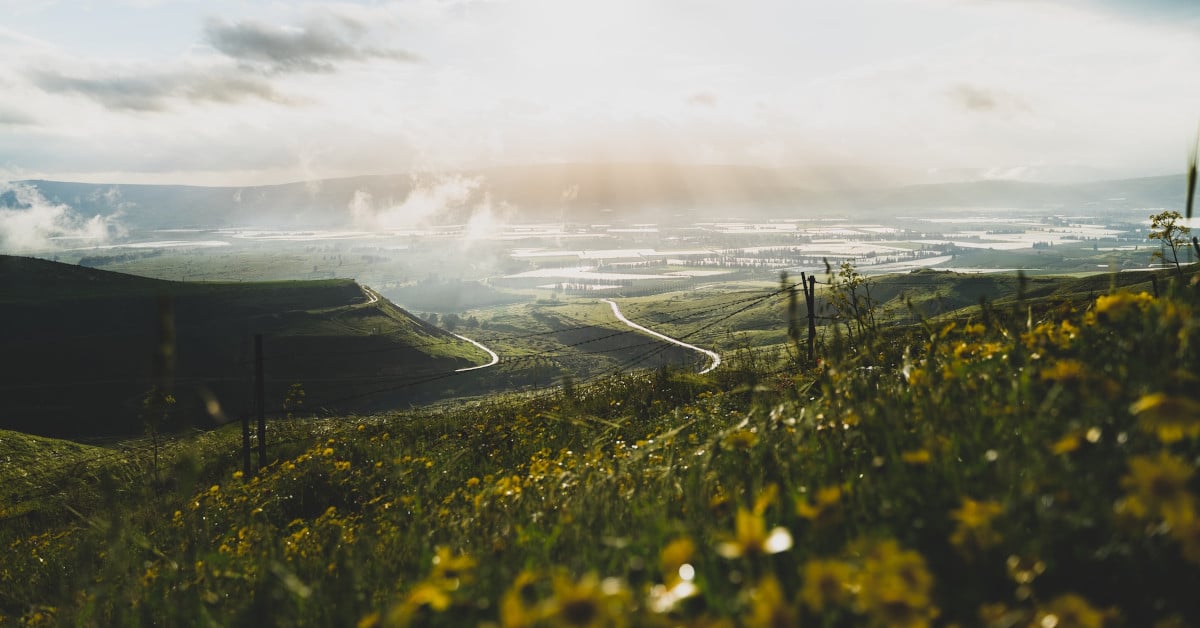 Golan Heights