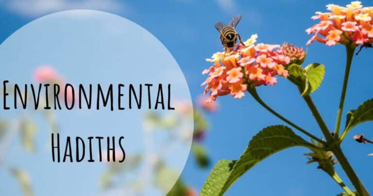 Environmental hadiths