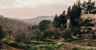 Israel trees