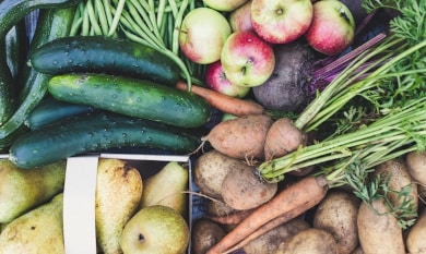 The Magic of Tu BiShvat in Jerusalem