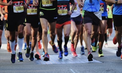 ICSD in the OCCURSO Newsletter