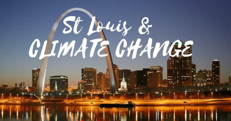 St louis