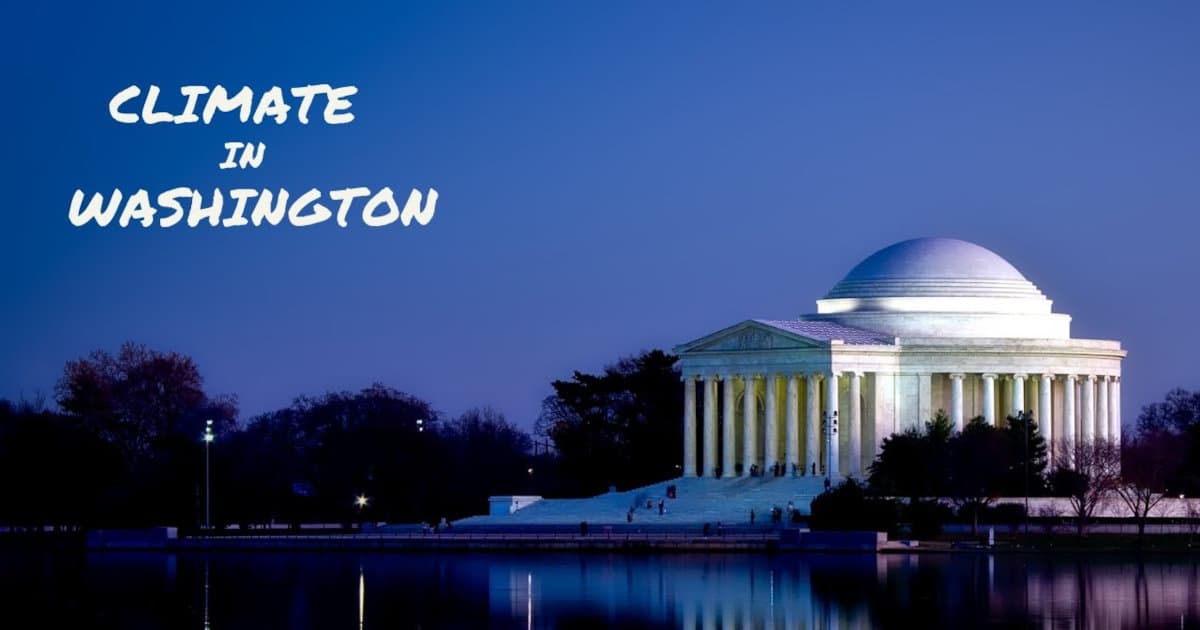 Washington Wash-Out and the Way Ahead