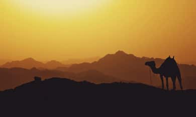 Did the 10 Plagues of Egypt Really Happen? Here Are 3 Theories