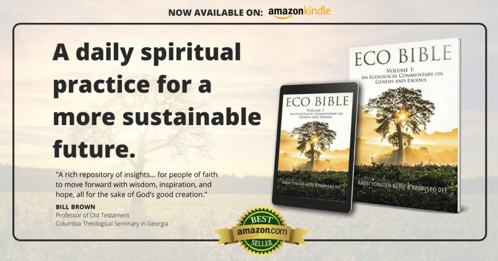 Eco bible on amazon