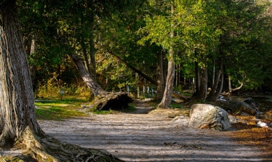 What does the Bible say on the preservation of the environment?