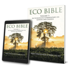 The Interfaith Center for Sustainable Development