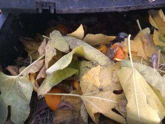 Composting at home