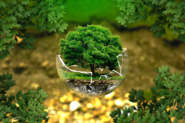 Environmental protection Earth's ecosphere