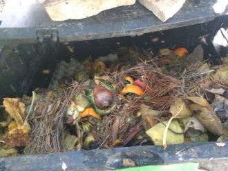 Compost bin