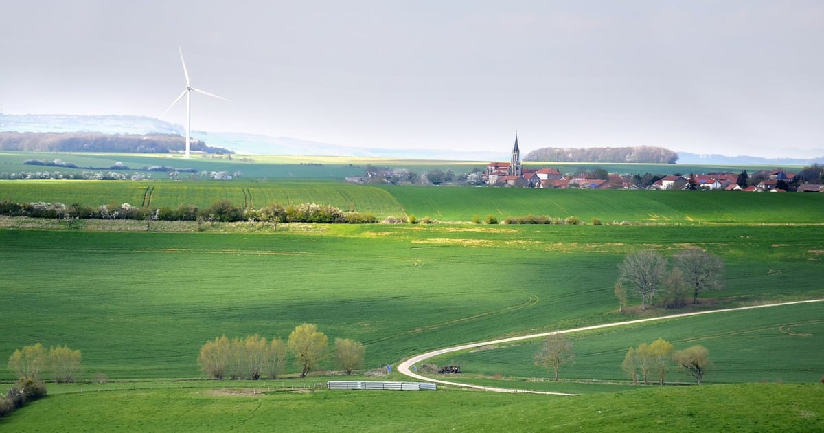 How to Optimize the Three Pillars of Sustainability