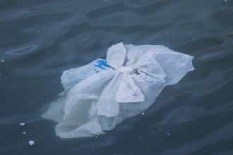 Plastic in our water