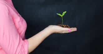 woman holding sapling