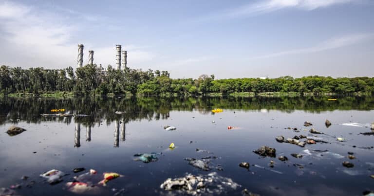 Polluted lake