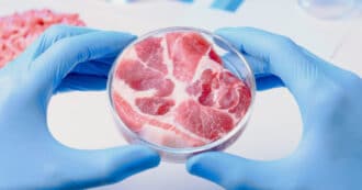 Lab grown meat