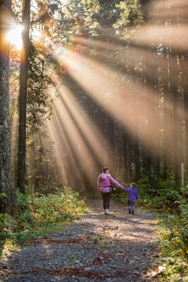 Human communities A mother and child enjoying a walk in the woods