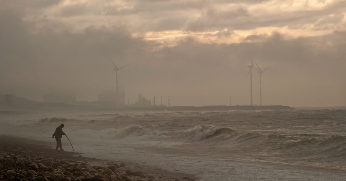 Social Ecology: The Correlation Between Environmental & Social Issues