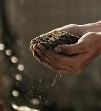 Handful of soil