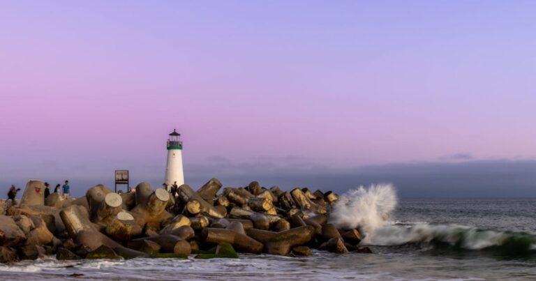 Ecological restoration | The Interfaith Center for Sustainable Development Lighthouse