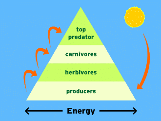 energy-pyramid | The Interfaith Center for Sustainable Development