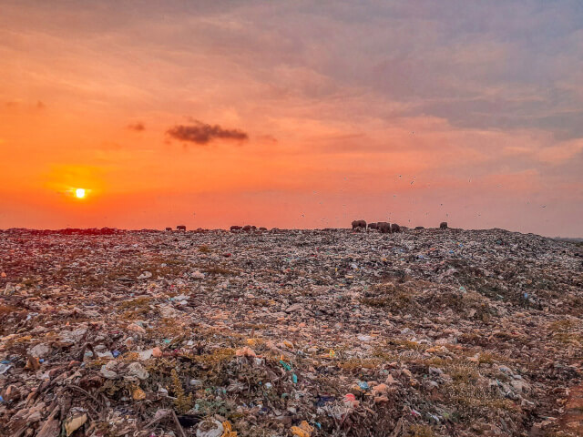 Human activities Dumping garbage