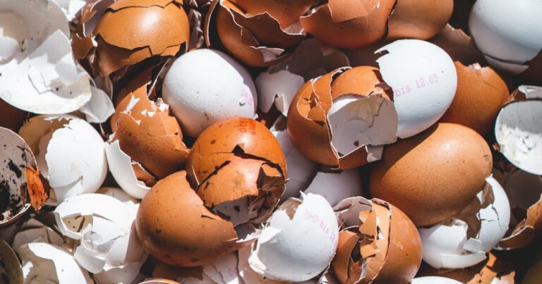 Bokashi composting | The Interfaith Center for Sustainable Development Kitchen waste
