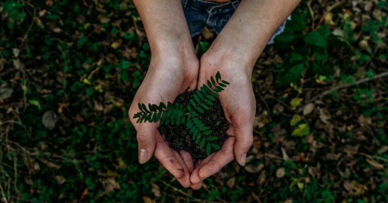 Concept of sustainable development | The Interfaith Center for Sustainable Development Plant in hands