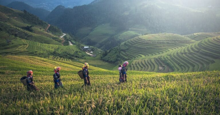 Ecological system | The Interfaith Center for Sustainable Development Asian agriculture