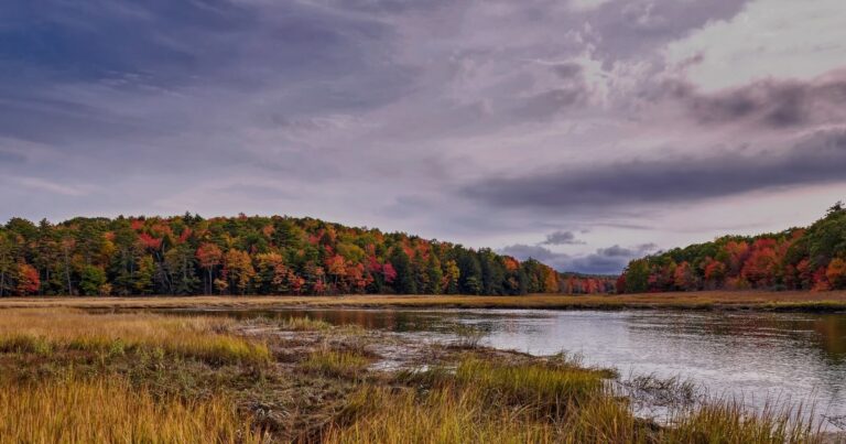 Forest | The Interfaith Center for Sustainable Development Lake sherman