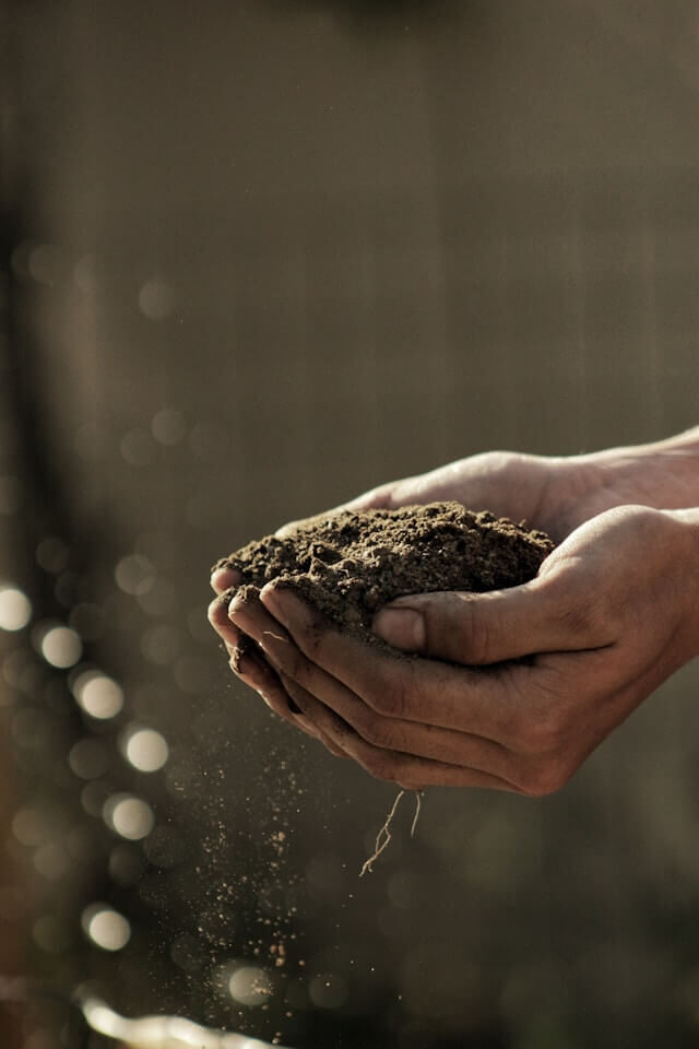 A handful of soil