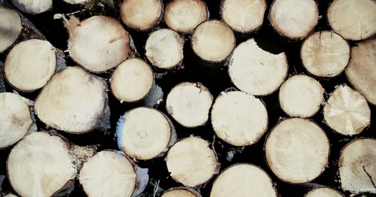Sustainable building | The Interfaith Center for Sustainable Development Logs