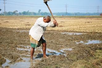 farmer in the field