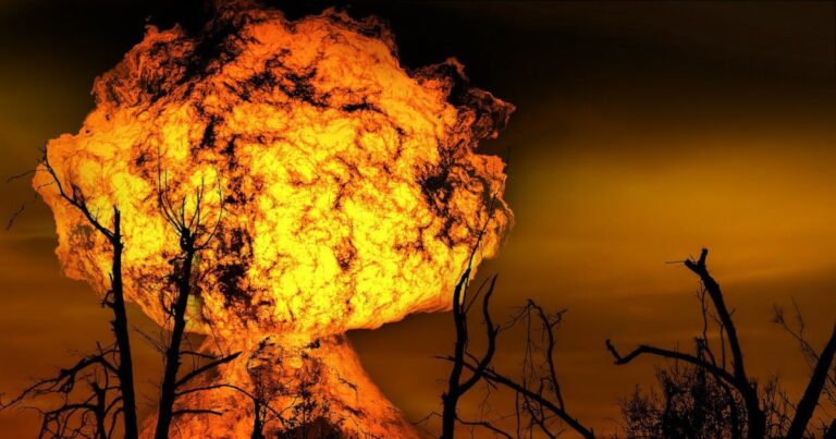 Fire ecology | The Interfaith Center for Sustainable Development Fire