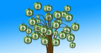 Money tree