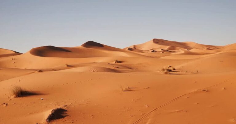 Exodus 17 | The Interfaith Center for Sustainable Development Desert