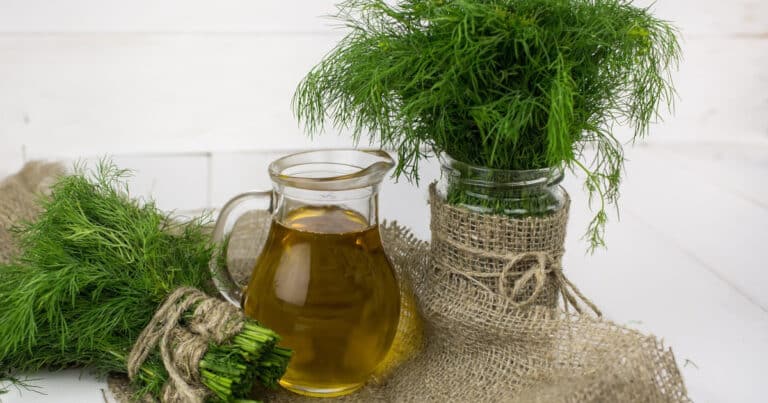 Cooking oil