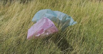 Plastic bags