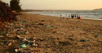 polluted beach