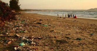polluted beach