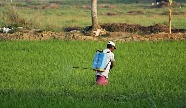 Agricultural techniques Farmer spraying crops