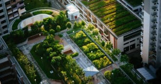 Green roof cityscape