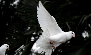 Jerusalem Interfaith Gathering for Peace in Ukraine
