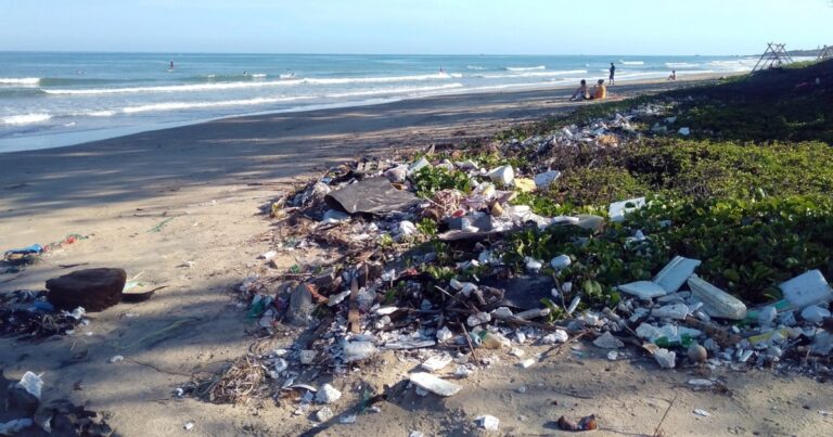 Ocean cleanup | The Interfaith Center for Sustainable Development Plastic pollution