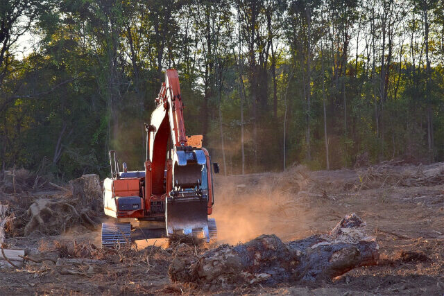 biodiversity-loss | The Interfaith Center for Sustainable Development An excavator clearing forest land
