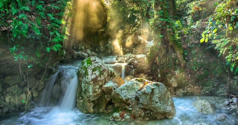 Importance of biodiversity | The Interfaith Center for Sustainable Development Biodiversity