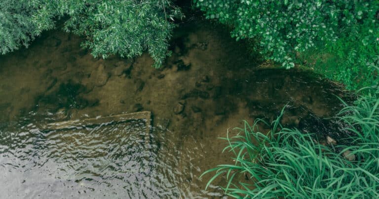 River