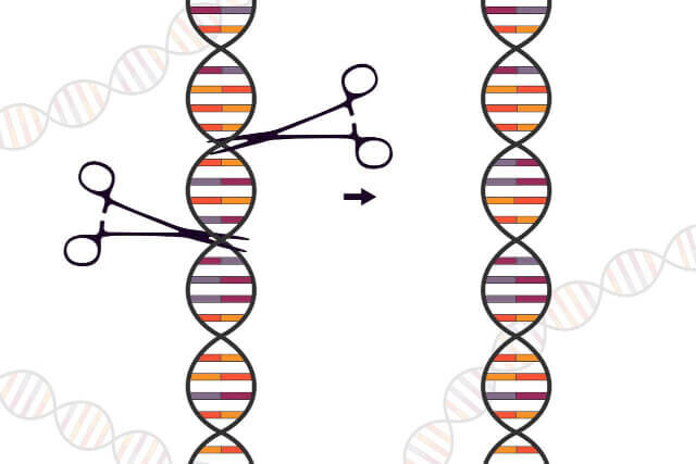 Genome editing Genome editing illustration