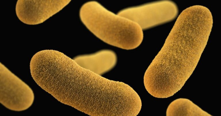 Plastic eating bacteria | The Interfaith Center for Sustainable Development Bacteria