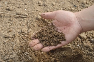 soil-biota | The Interfaith Center for Sustainable Development