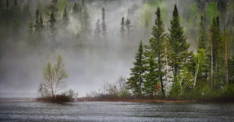 Lake